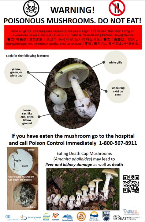 signs of mushroom poisoning